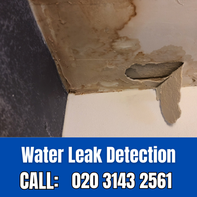 Expert Water Leak Detection Services in Woodford Bridge | Woodford Bridge Leak Detection